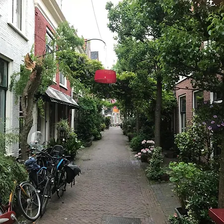 招待所 The Sin 哈莱姆